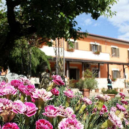 B&B Casale Shanti Piedimonte San Germano Экстерьер фото